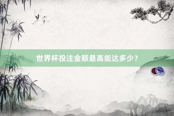 世界杯投注金额最高能达多少？