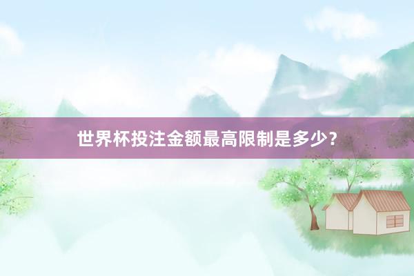 世界杯投注金额最高限制是多少？